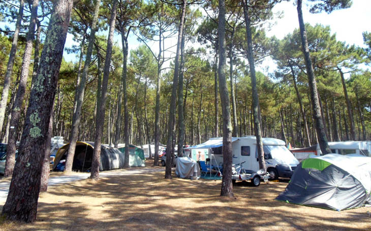 Traditioneller Campingplatz unter dem Wald am Strand