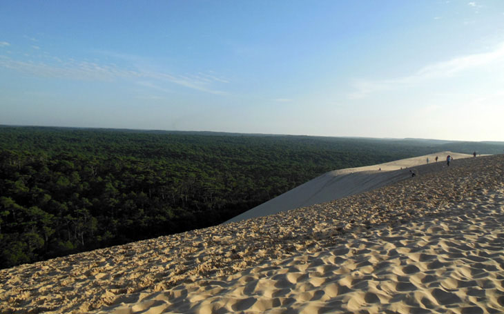 Dune du pilat une pinenwald