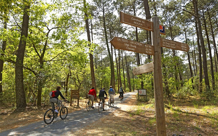 Piste cyclable dans le foret