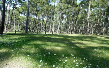 Einfach und authentisch camping