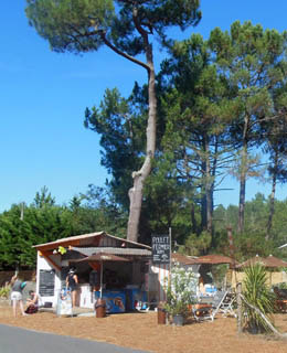 Snack und gegrillte Hühner