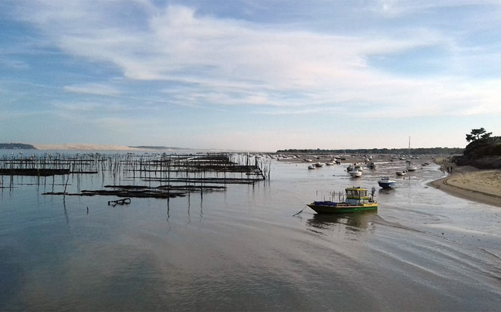 Blick auf die Dune du Pilat vom Cap Ferret 