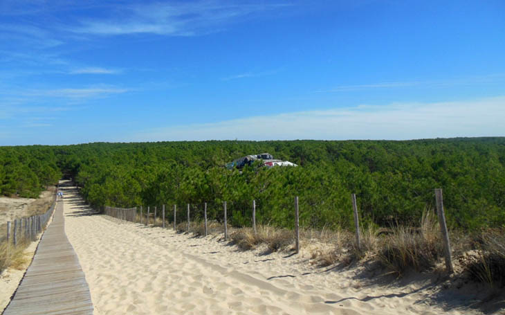 Dune et blockhaus du cap ferret