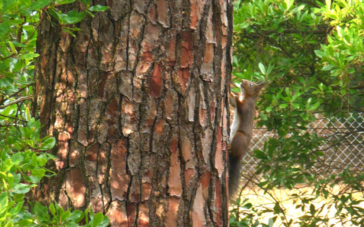 Espace nature unique